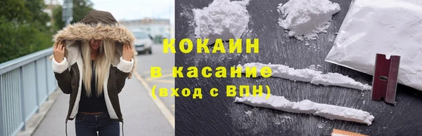 крисы Богородск