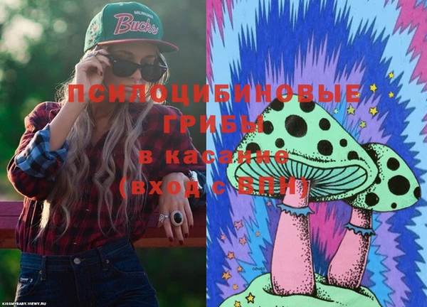 героин Богданович