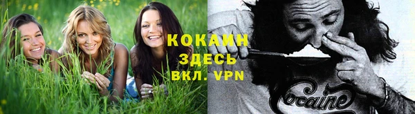 героин Богданович